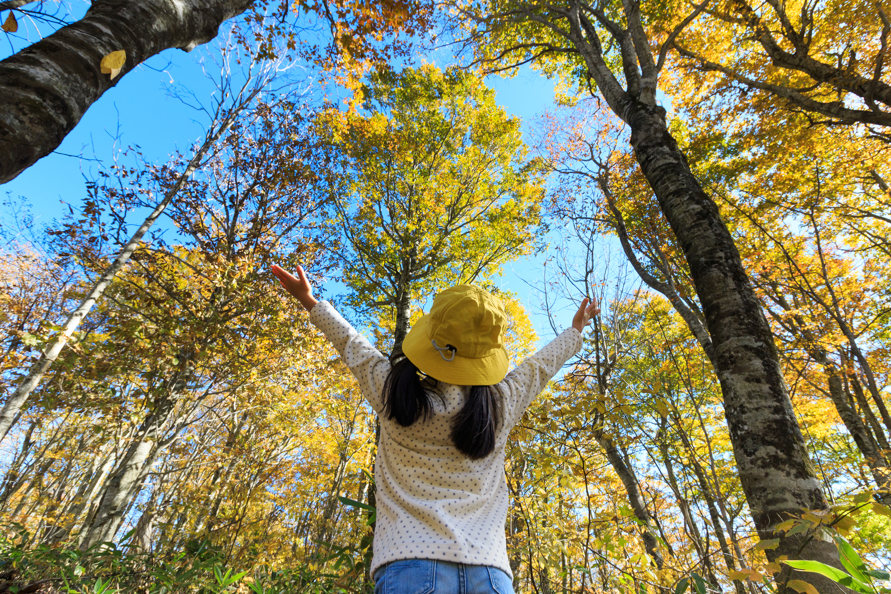 A girl reaching up to the sky in a forest.