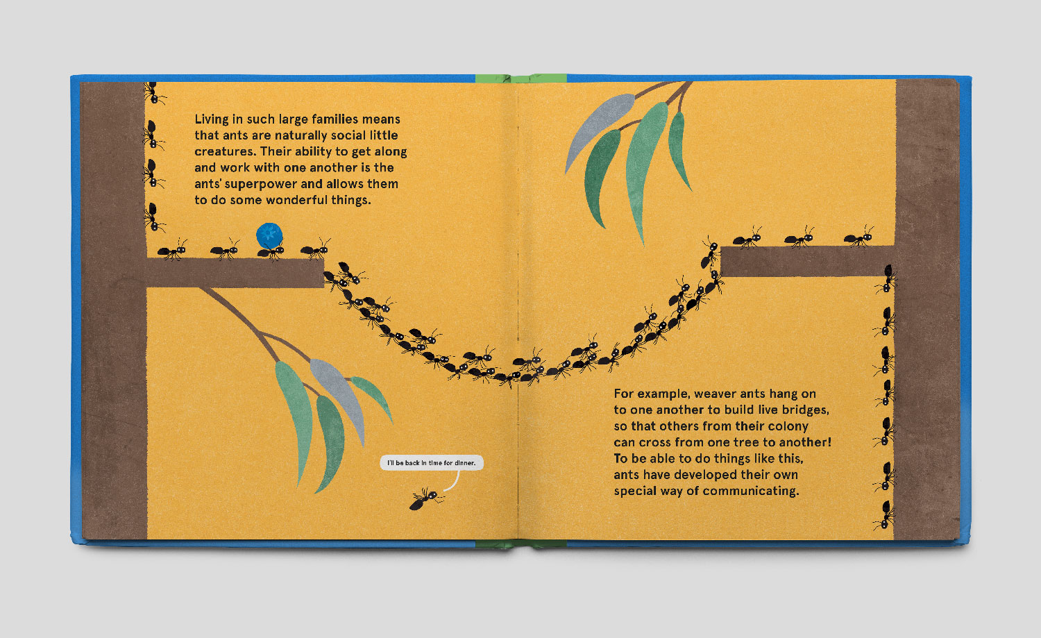 Illustration of ants making a bridge with their own bodies