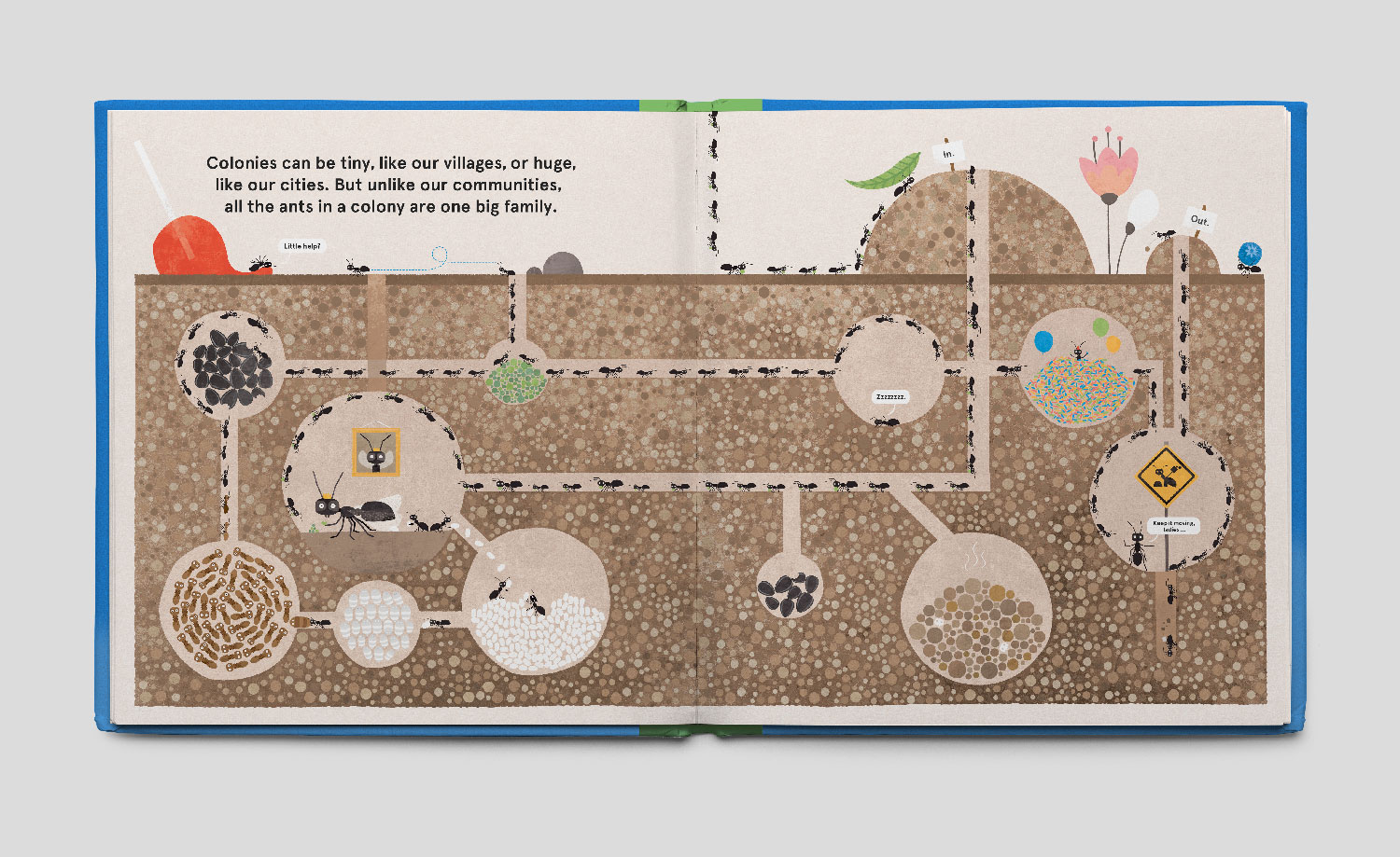 Illustration of any colony