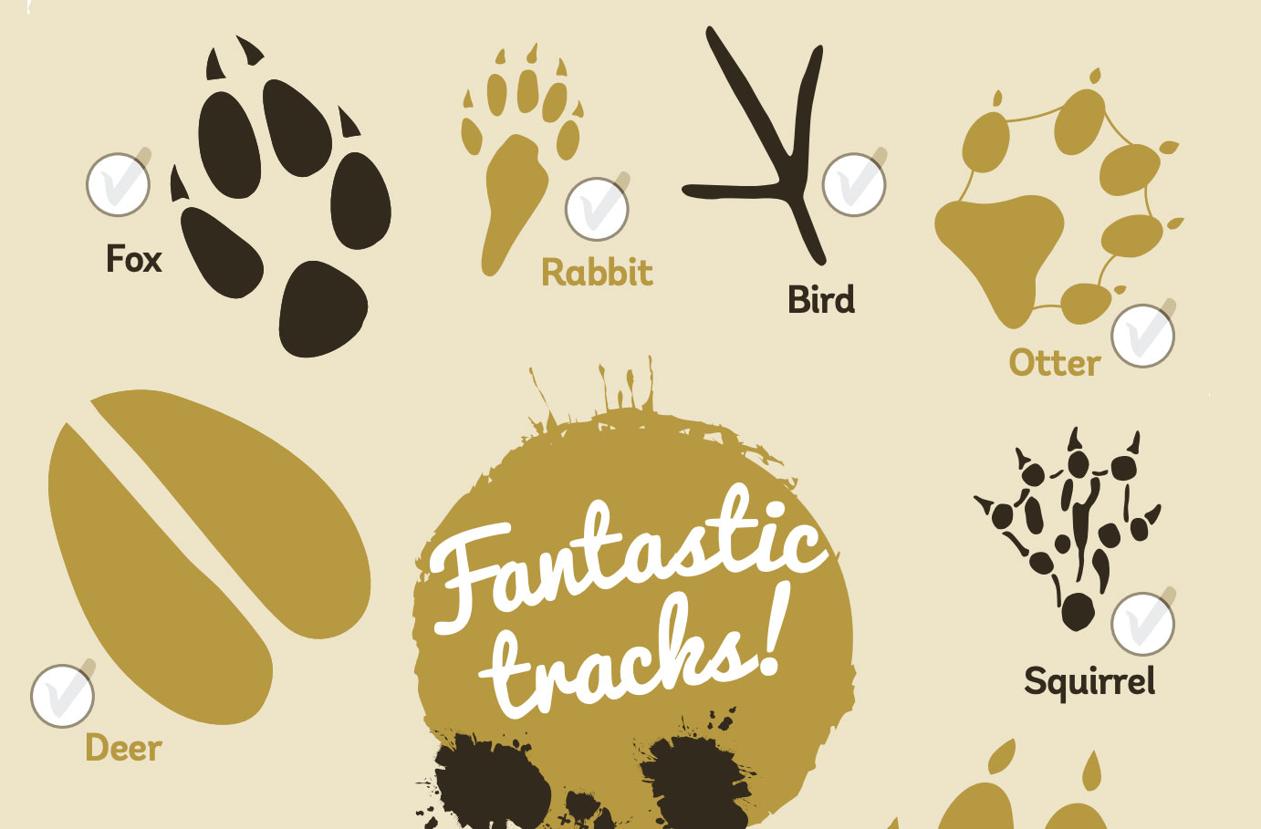 animal tracks