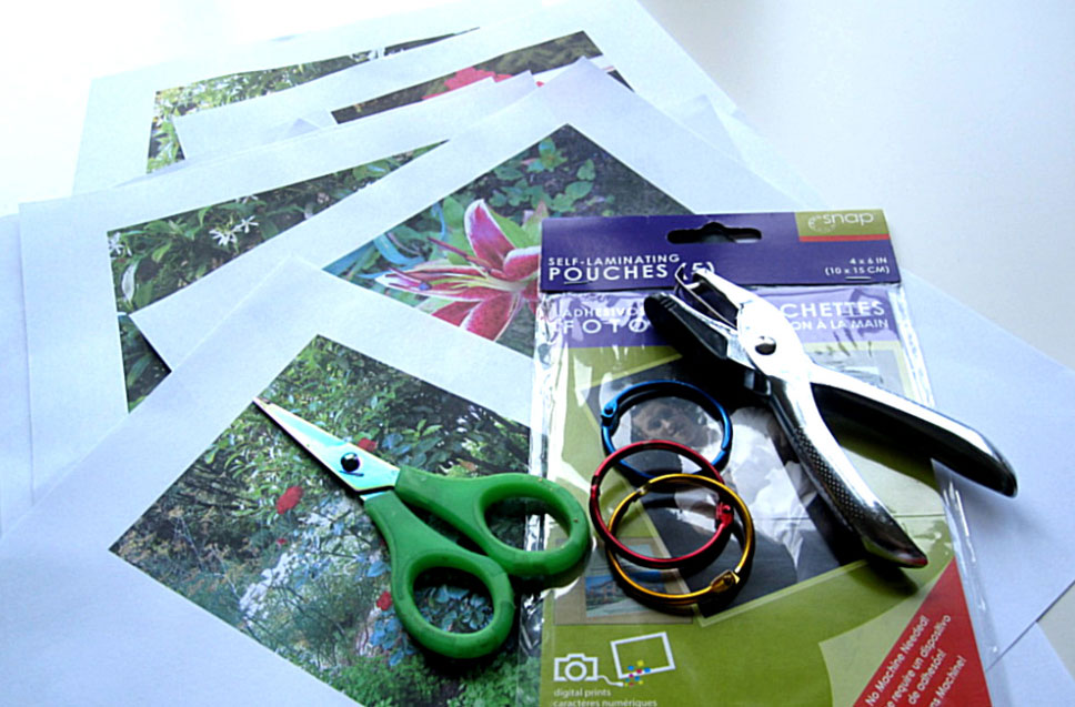 a pile of photos and a hole punch