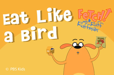 orange cover of "Eat Like a Bird" showing a dog holding a box and a bag of beans