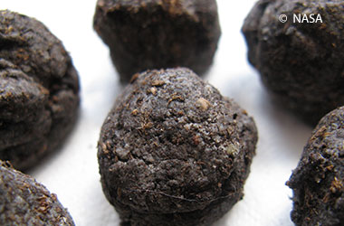 Dark seed balls.