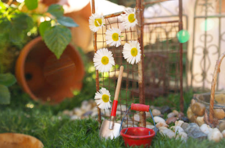 backyard fairy garden with daisies