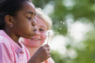 young child blowing dandelion 