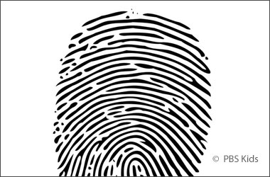 closeup drawing of a fingerprint
