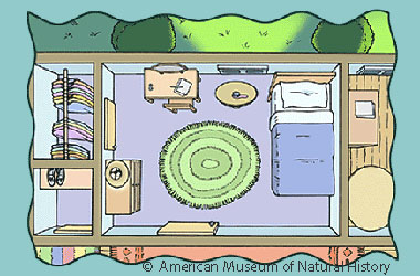 drawing of a bedroom as seen from above