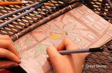 someone drawing a nature scene