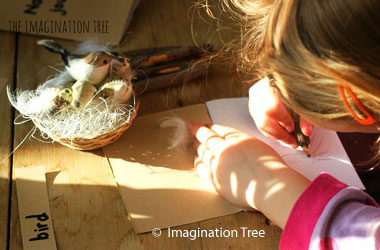 child sitting at a desk with a bird's nest and she is writing