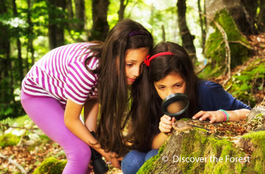 two girls looking at a rock through a magnifying glass