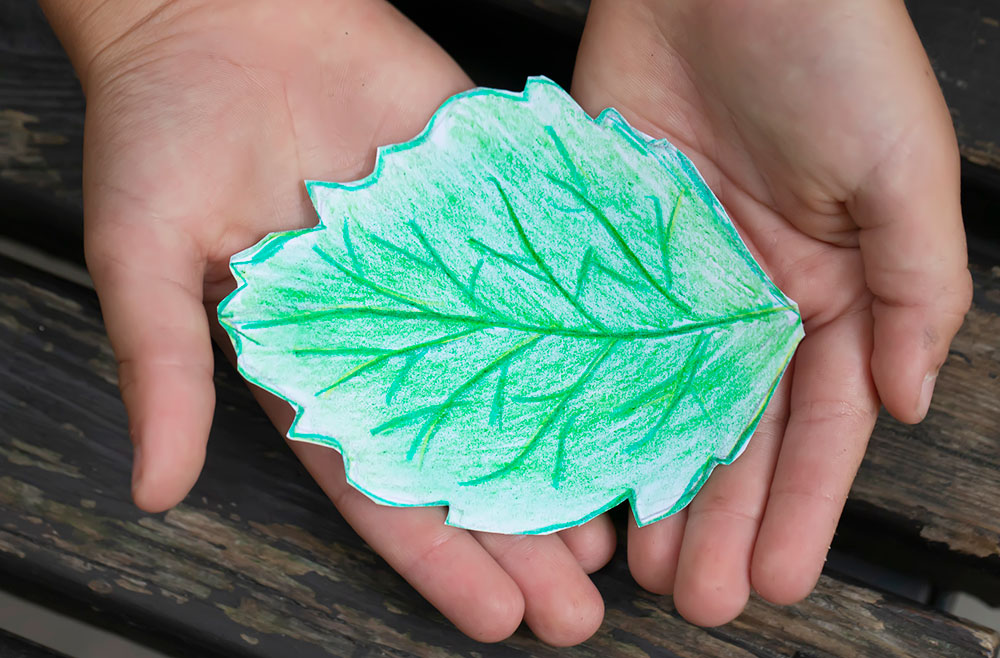 paper leaf in a child's hands