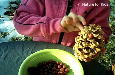child holding a pinecone