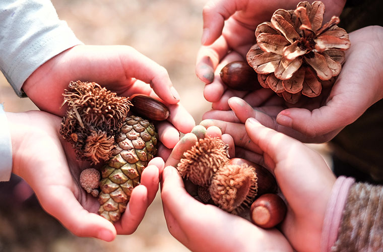 kids holding pinecones