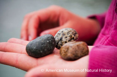 child holding three rocks in her hands