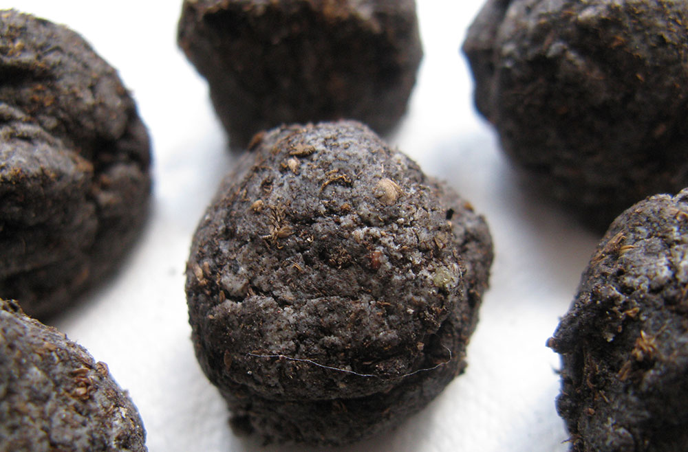 Dark seed balls