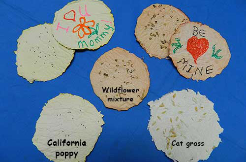 Round pieces of different types of seed paper with messages on them