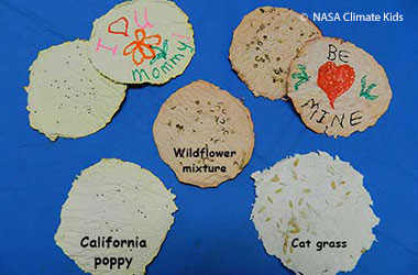 Round pieces of different types of seed paper with messages on them.