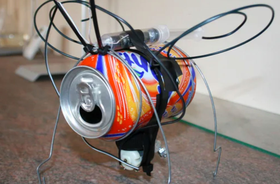 photo of a soda can made to look like a bug with wings