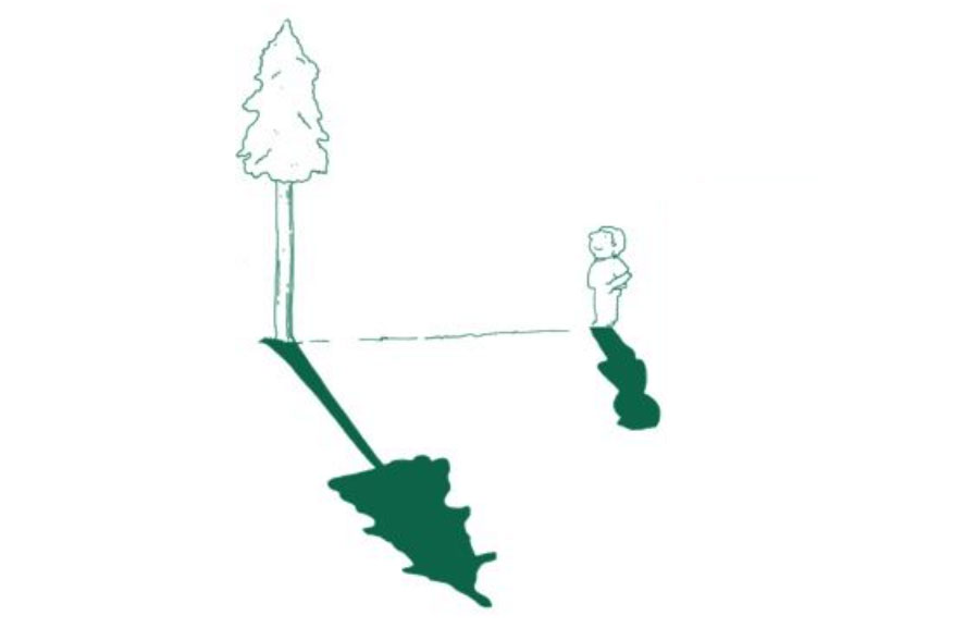 diagram of measuring the height of a tree by its shadow