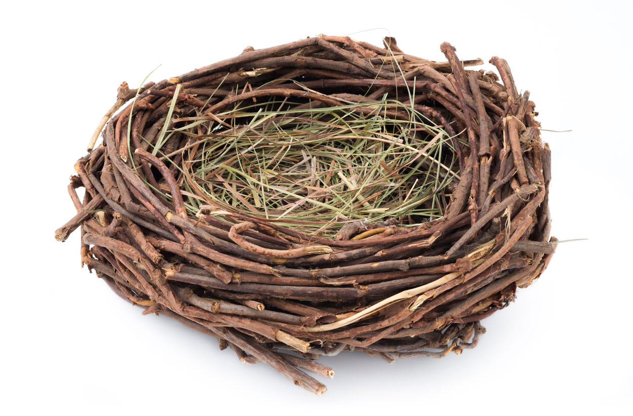 nest made from twigs and straw