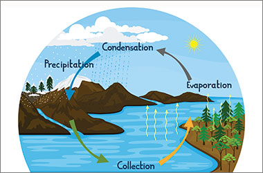 Diagram of the water cycle