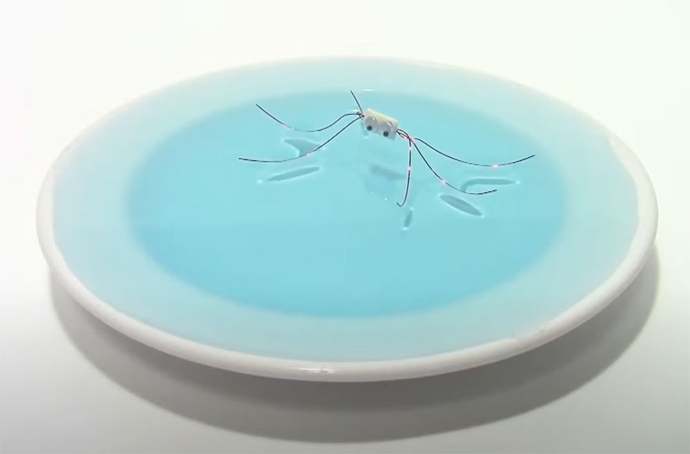 a bug made of wire on top of a dish full of water