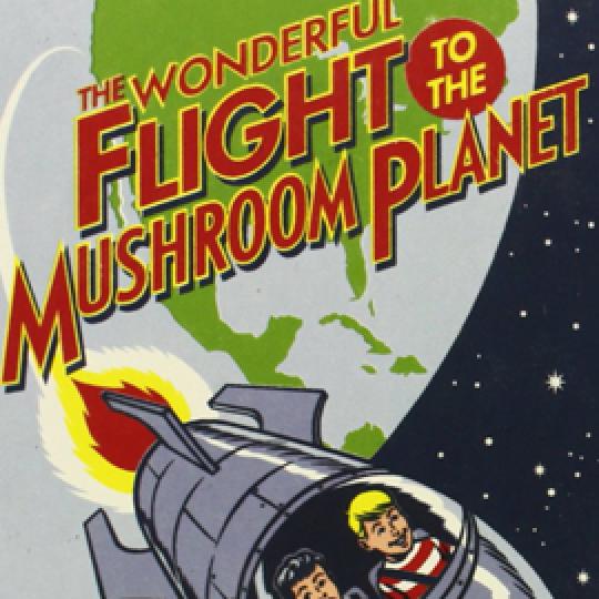 illustrated cover of The Wonderful Flight to the Mushroom Planet showing two children in a rocket in space