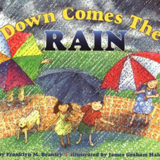 cover of "Down Comes the Rain" showing people with umbrellas in the rain