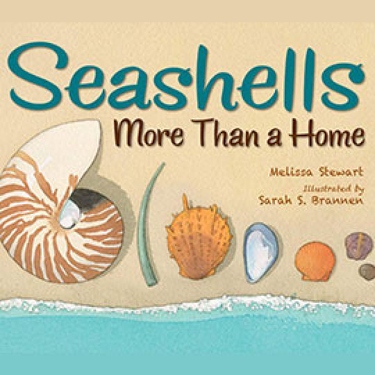 illustrated cover of Seashells, More Than a Home with several different shells laid out on the sand.