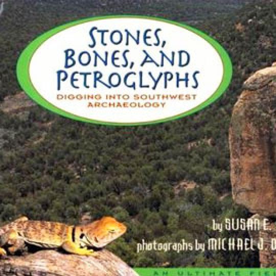 cover of "Stones, Bones, and Petroglyphs" showing a lizard on a rock in fron of a valley