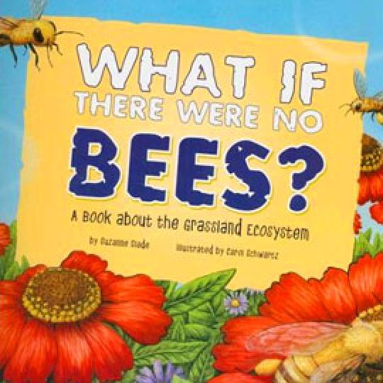 illustrated cover of "What if there were no bees?" showing flowers and bees