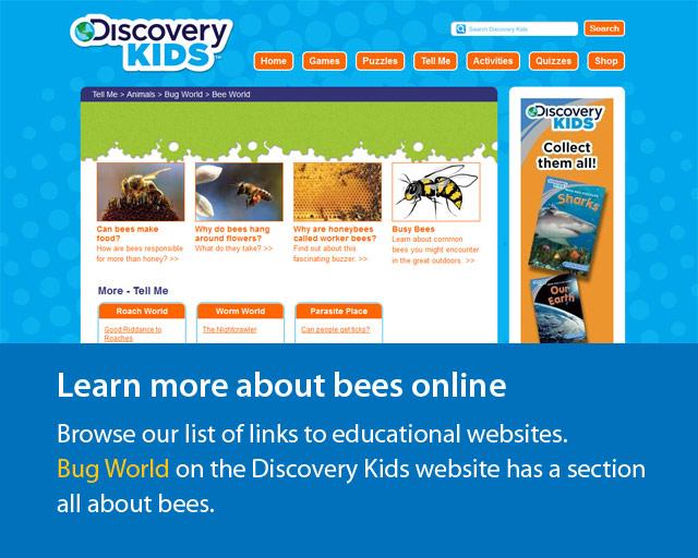 screenshot of Discovery Kids website information about bees.