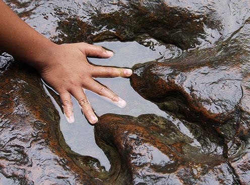 young boy puts is hand in the water at the bottom of a dinosaur's footprint