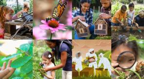 Multicultural children engaged in bug and insect activities outdoors