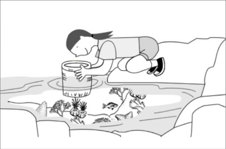 drawing of of a young girl using a homemade aquascope