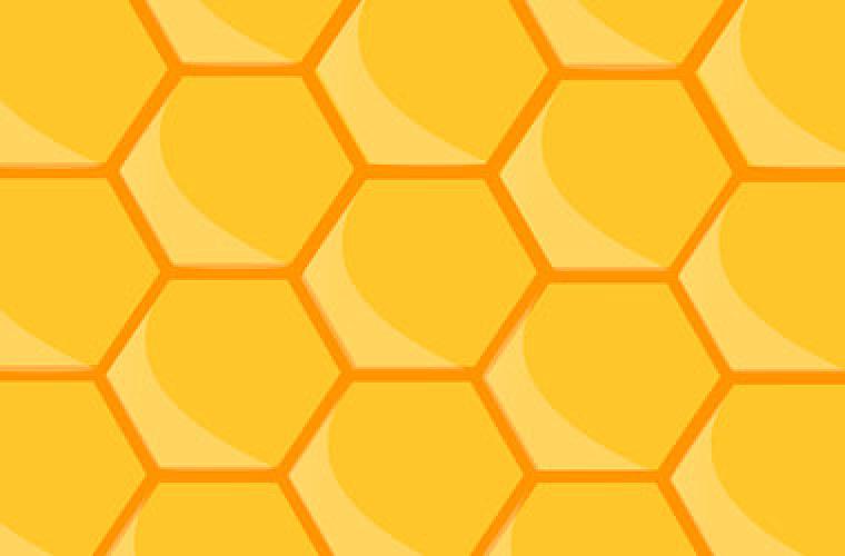 illustration of the hexagons of a bee hive
