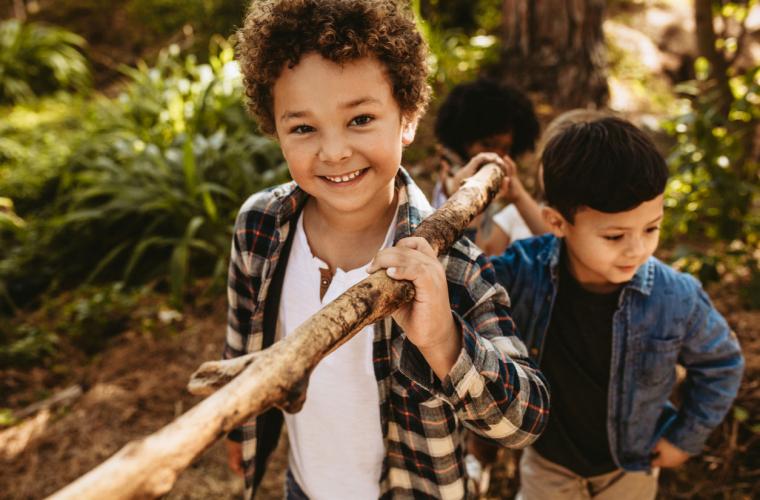 two young boys carrying a large stick on walk in the woods