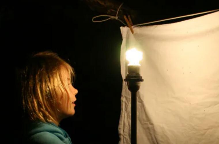 Child holding a flashlight up to a sheet outside to see bugs