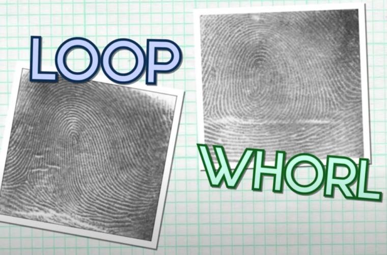 closeup of a fingerprint