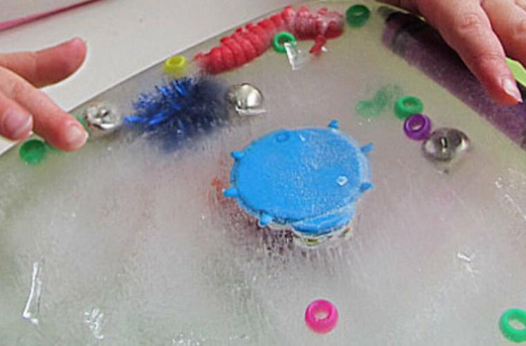 child freezing different objects in an ice block