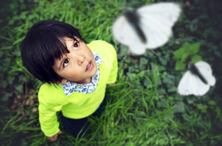 young child looking up at butterflies