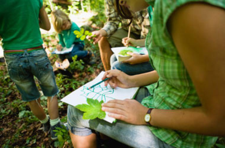 group of children outside drawing leaves