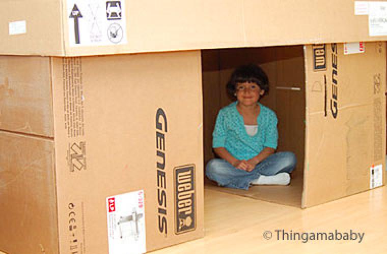 photo of a cardboard fort