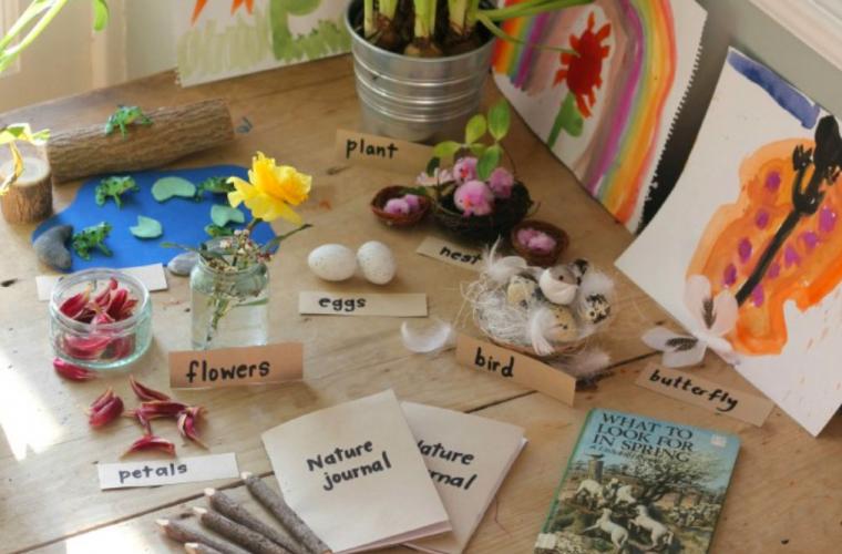 Nature Exploration Table