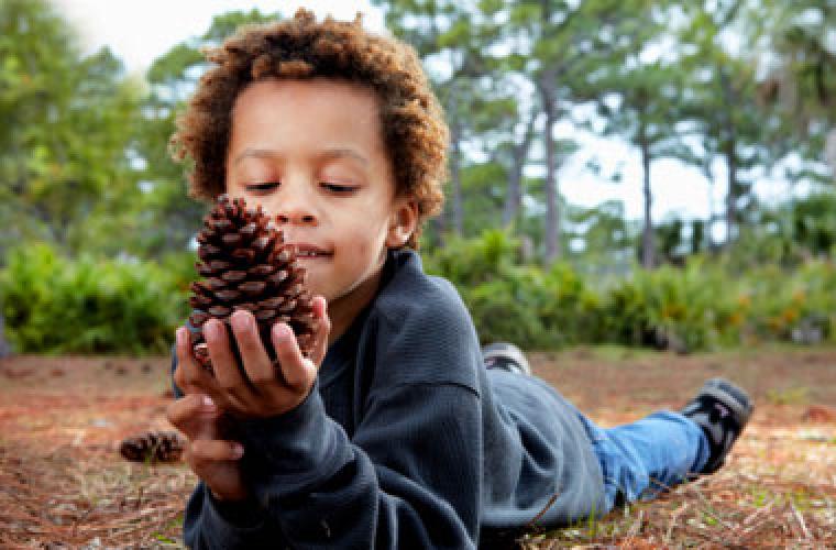 young child holding a pinecone