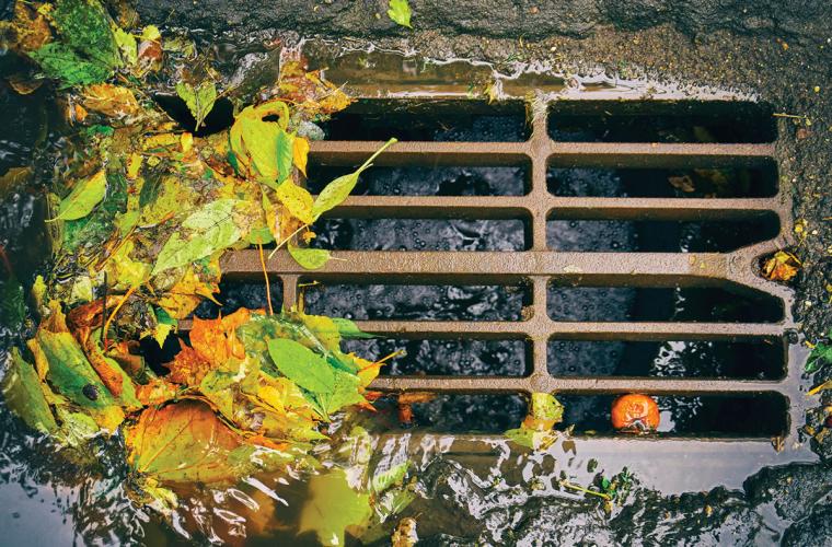 Closeup of a city storm drain with wet leaves