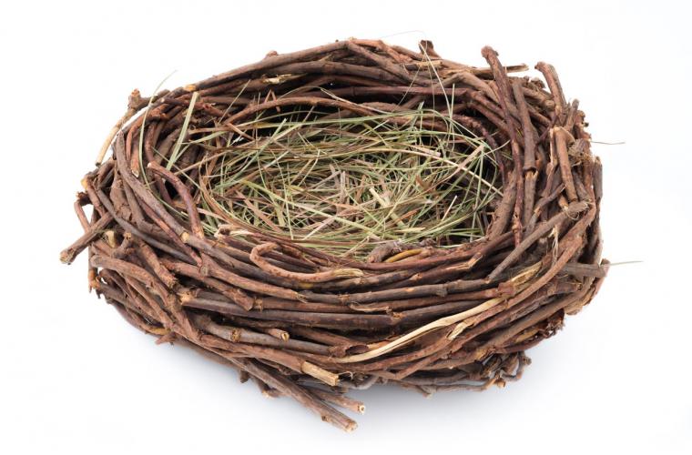 nest made from twigs and straw