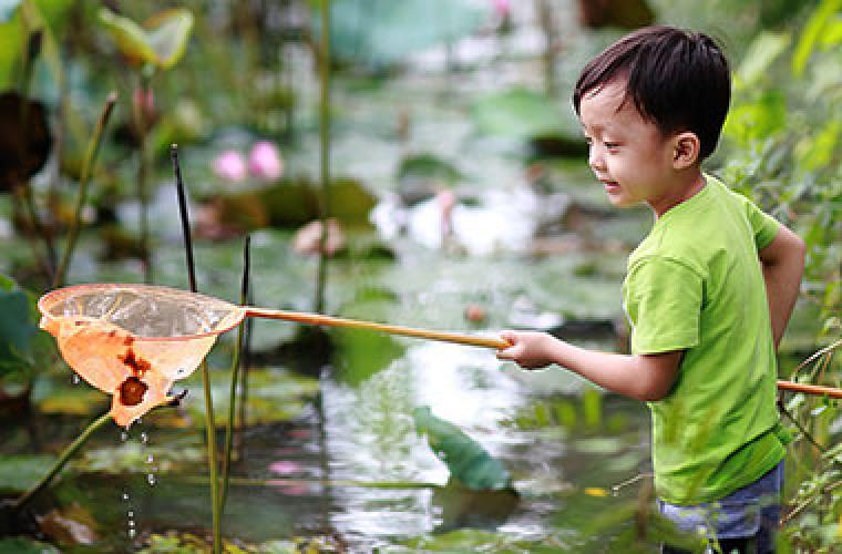 a child in a stream holding something in a net